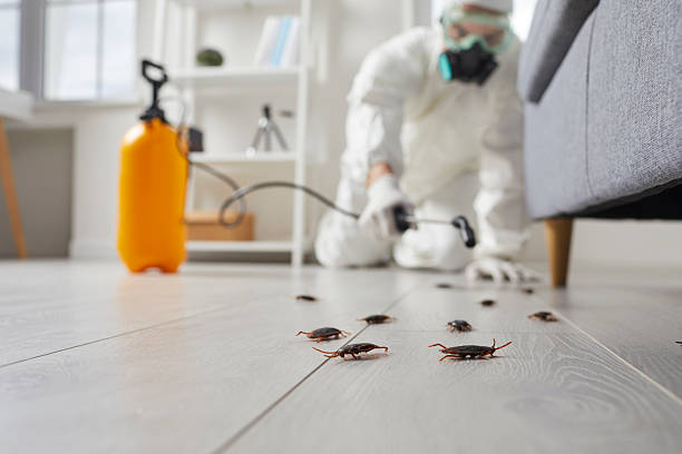 Post-Treatment Bed Bug Interceptor Monitoring in Sullivan